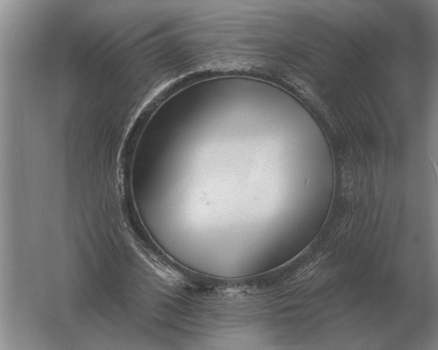 X0000061730584200512161624