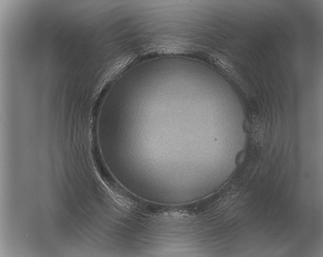 X0000061730586200512161624