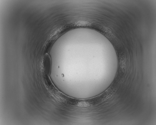 X0000061730591200512161624