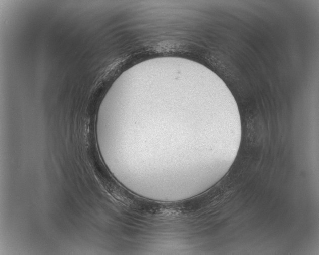 X0000061730592200512161624