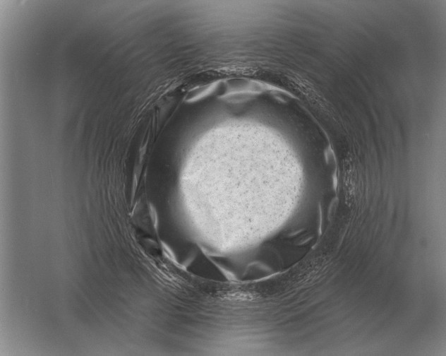 X0000061730593200512161624