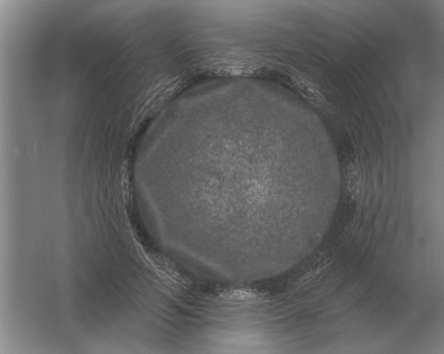 X0000061730594200512161624