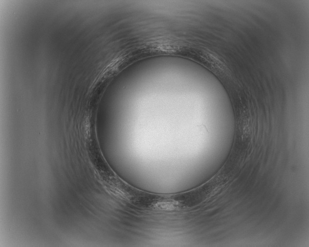 X0000061730595200512161624