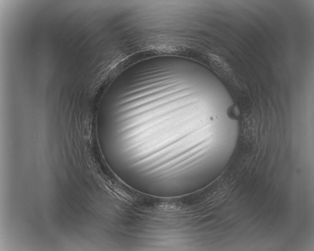 X0000061730596200512161624