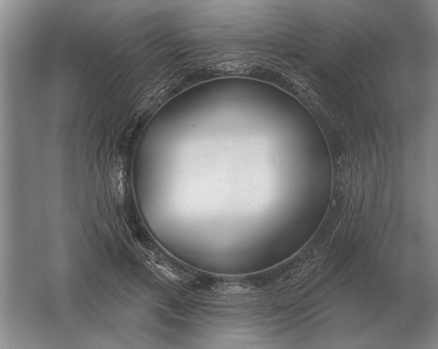 X0000061730597200512161624