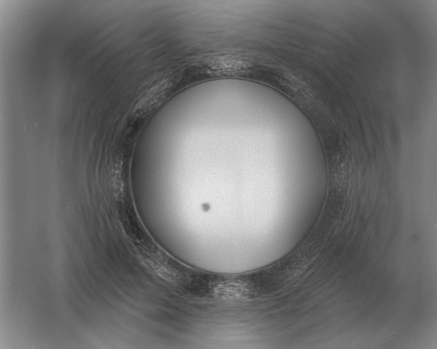 X0000061730599200512161624