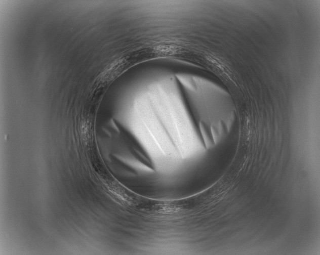 X0000061730601200512161624