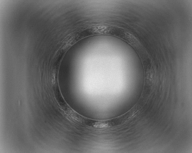 X0000061730602200512161624