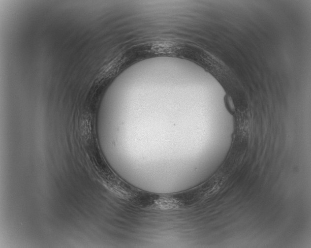 X0000061730603200512161624