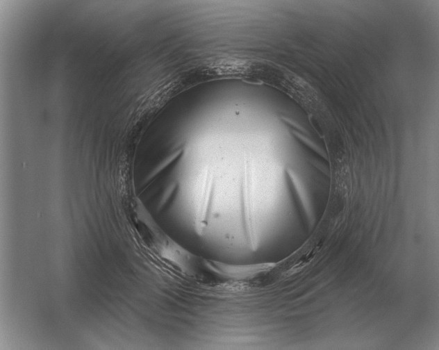 X0000061730604200512161624