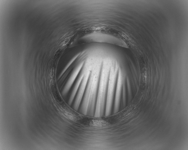 X0000061730605200512161624