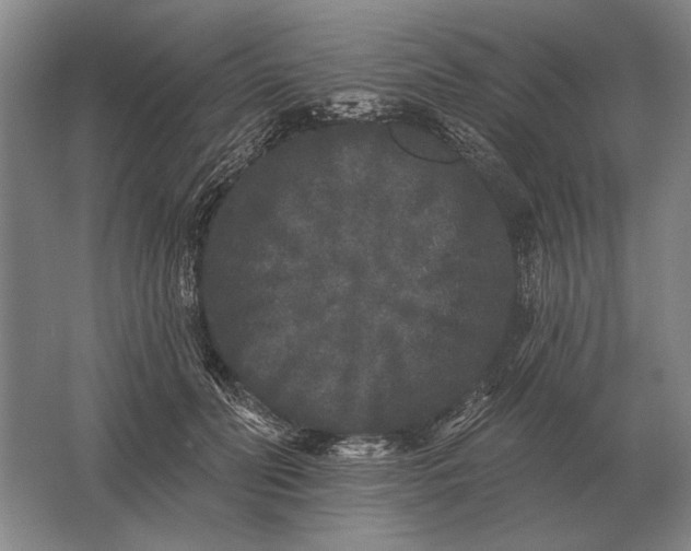 X0000061730606200512161624