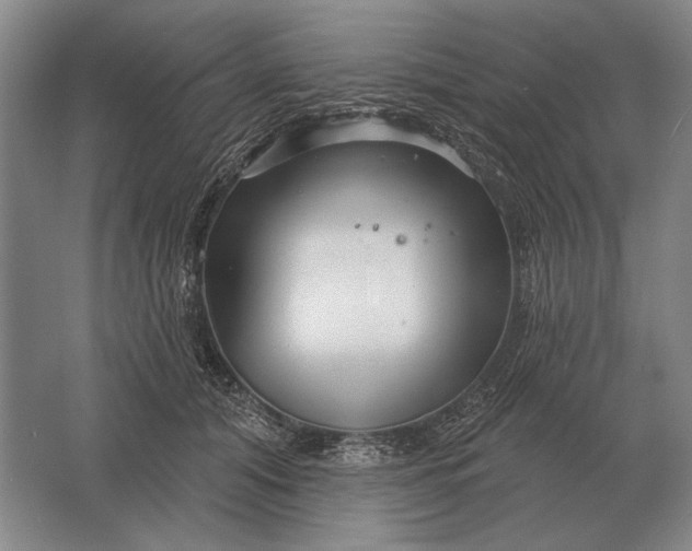 X0000061730608200512161624