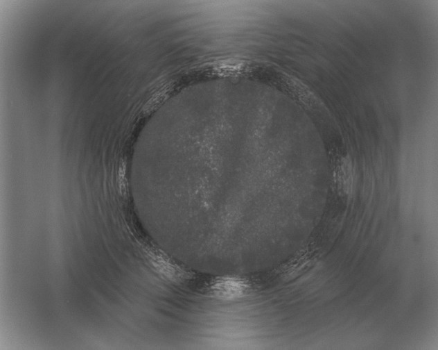 X0000061730610200512161624