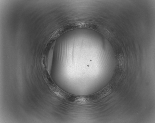 X0000061730611200512161624