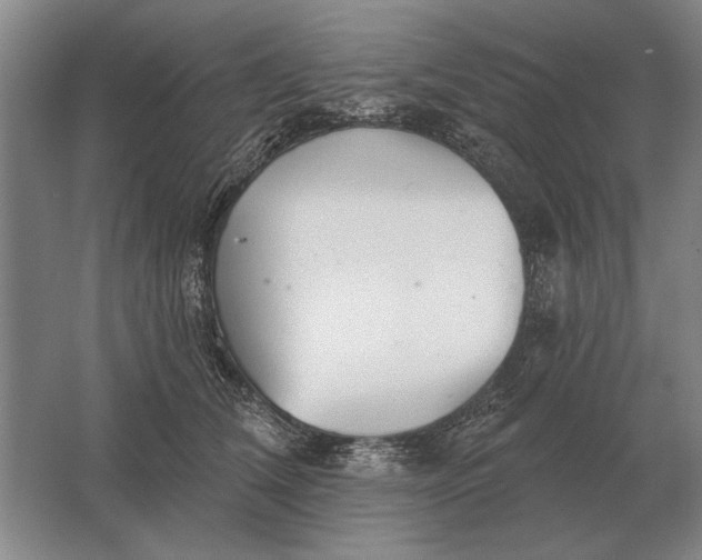 X0000061730612200512161624