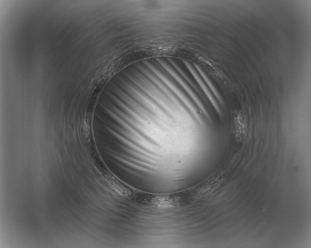 X0000061730613200512161624