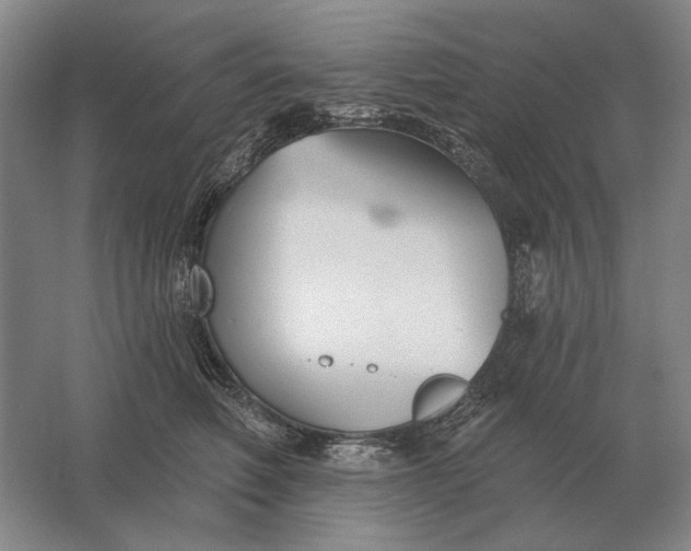 X0000061730614200512161624