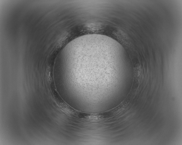 X0000061730615200512161624