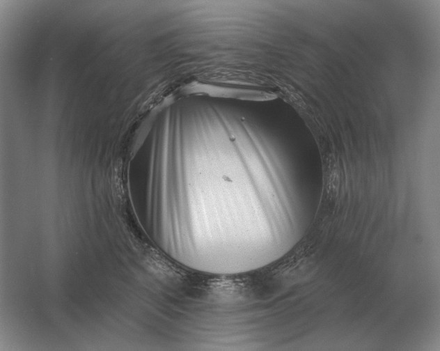 X0000061730616200512161624