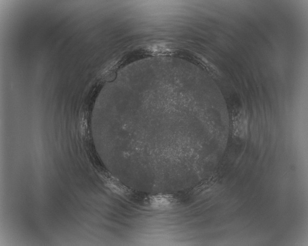 X0000061730618200512161624