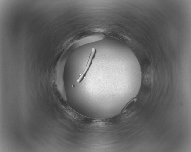 X0000061730620200512161624