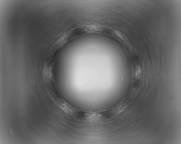 X0000061730621200512161624