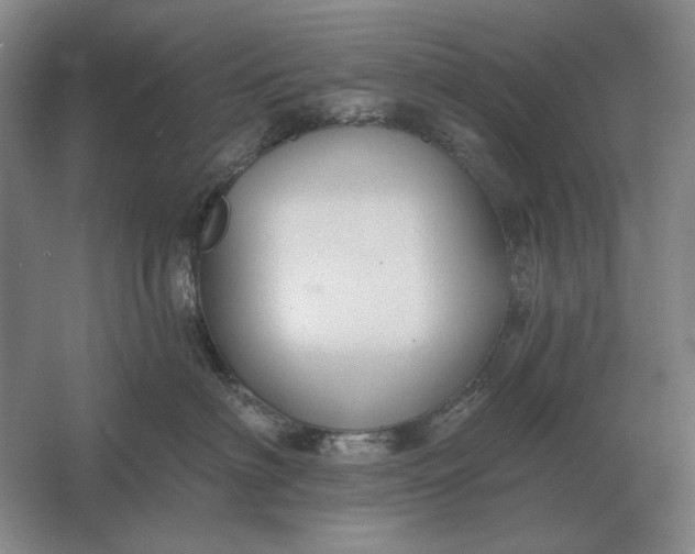 X0000061730622200512161624