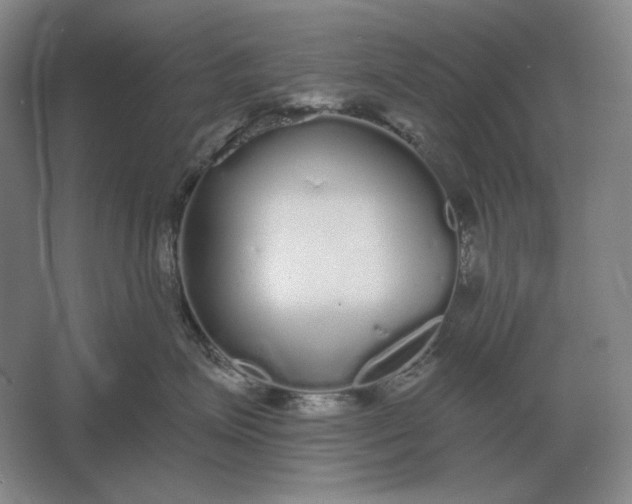 X0000061730623200512161624