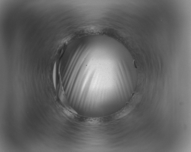 X0000061730624200512161624