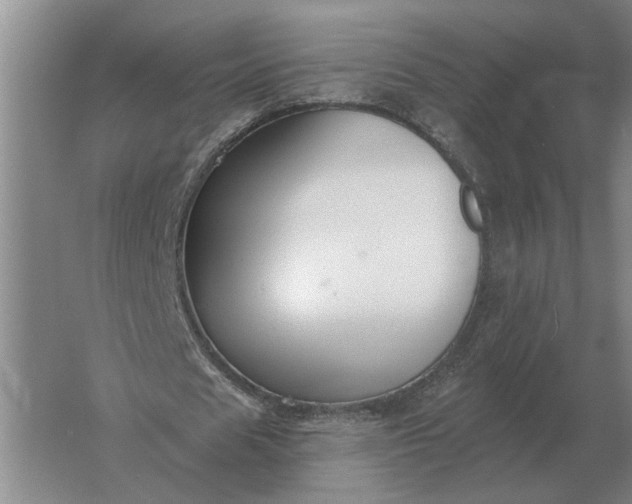 X0000061730625200512161623