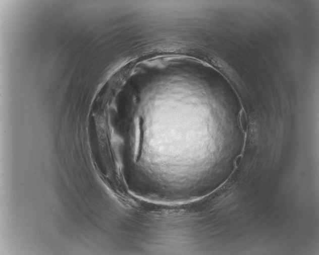 X0000061730626200512161623