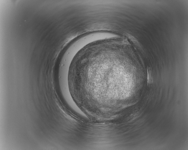 X0000061730627200512161623