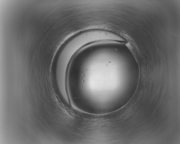 X0000061730628200512161623