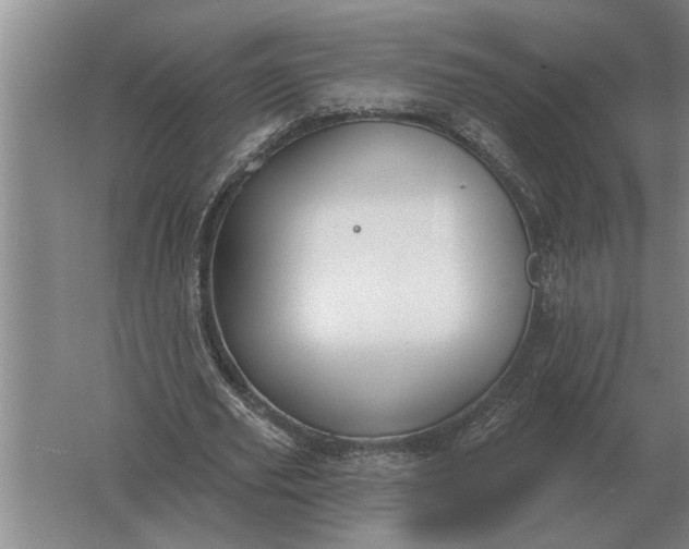 X0000061730629200512161623