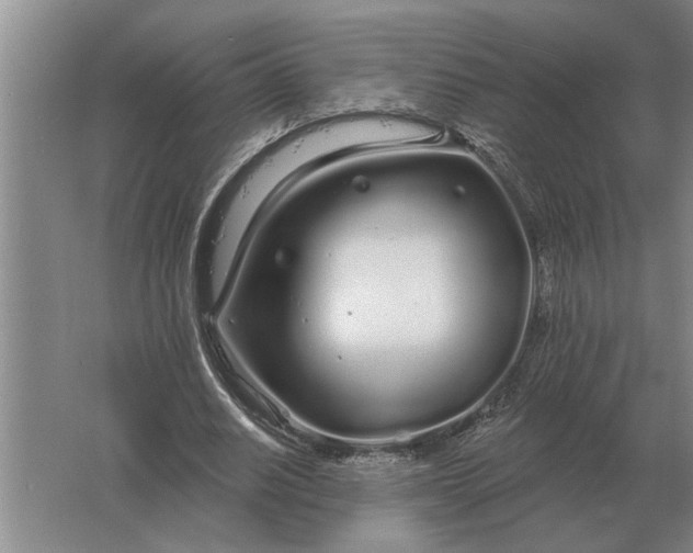 X0000061730630200512161623