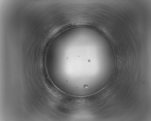 X0000061730631200512161623