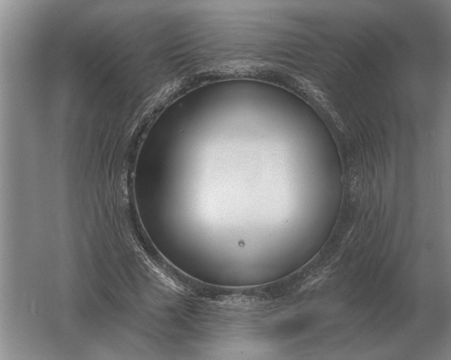 X0000061730633200512161623