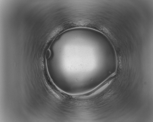 X0000061730634200512161623