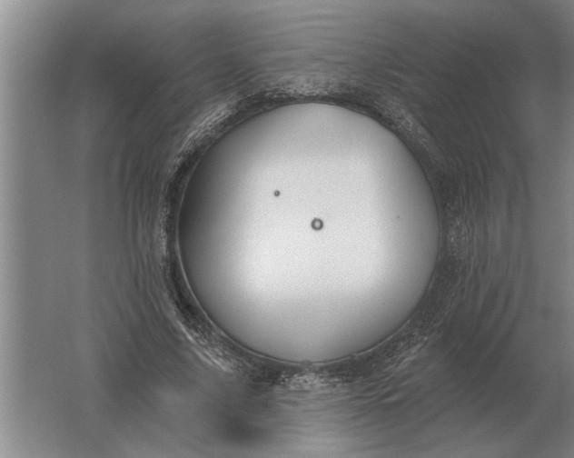 X0000061730635200512161623