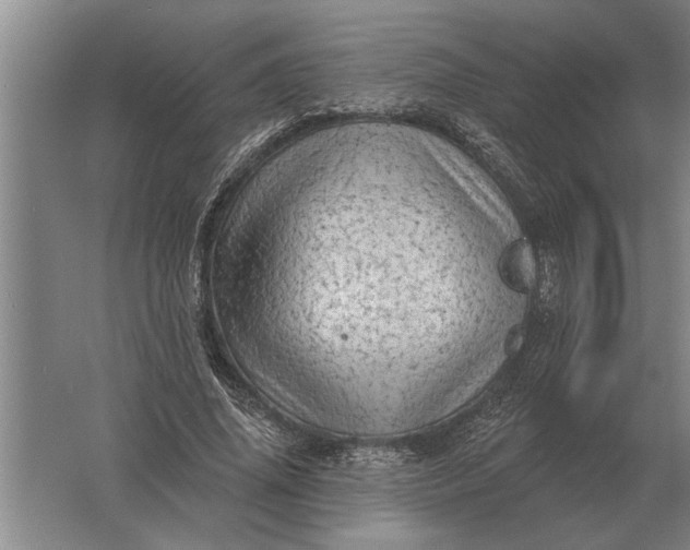 X0000061730636200512161623