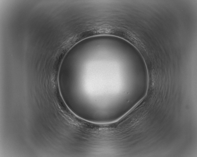 X0000061730641200512161623