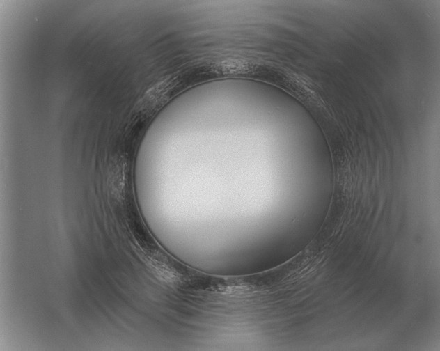 X0000061730645200512161623