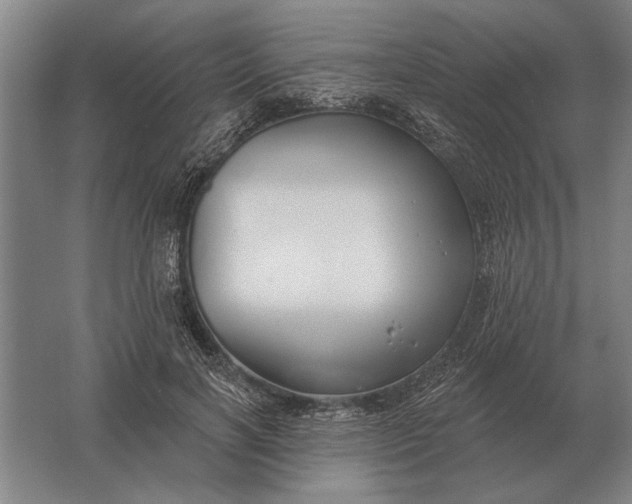 X0000061730646200512161623