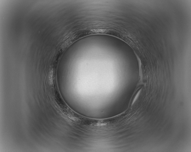 X0000061730647200512161623