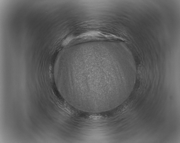 X0000061730650200512161623