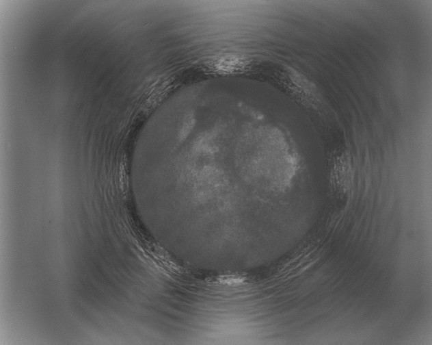 X0000061730651200512161623