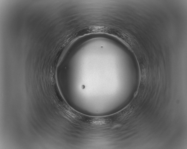 X0000061730653200512161623