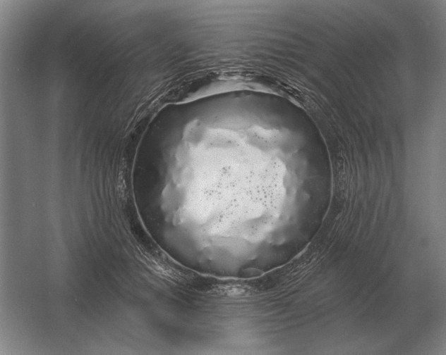 X0000061730654200512161623