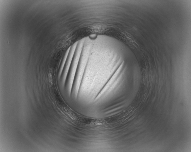 X0000061730655200512161623